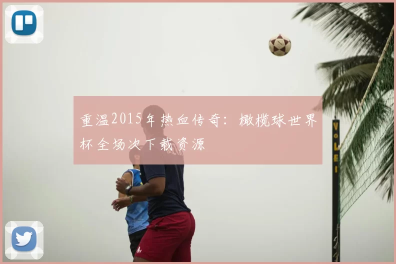 重温2015年热血传奇:橄榄球世界杯全场次下载资源