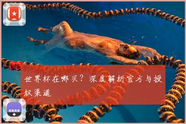 世界杯在哪买?深度解析官方与授权渠道