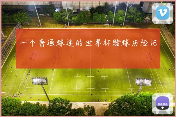 一个普通球迷的世界杯赌球历险记