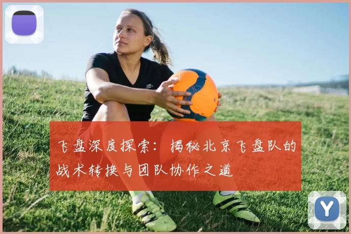 飞盘深度探索:揭秘北京飞盘队的战术转换与团队协作之道