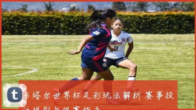 卡塔尔世界杯足彩玩法解析 赛事投注规则与观赛指南