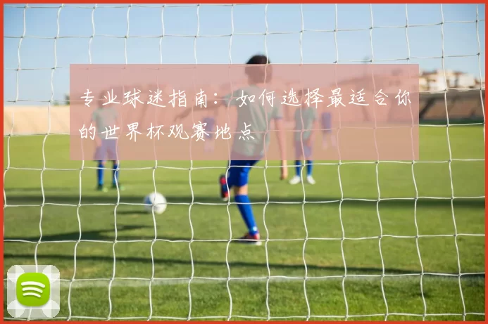 专业球迷指南：如何选择最适合你的世界杯观赛地点