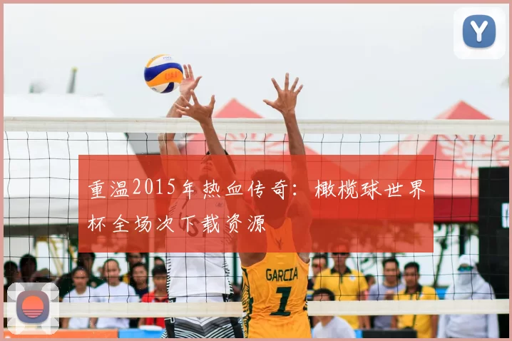 重温2015年热血传奇:橄榄球世界杯全场次下载资源