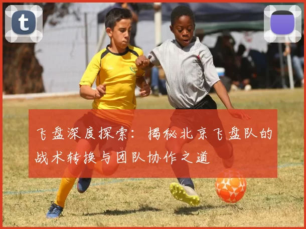 飞盘深度探索:揭秘北京飞盘队的战术转换与团队协作之道