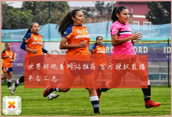 世界杯观看网站推荐 官方授权直播平台汇总