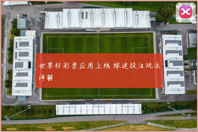 世界杯彩票应用上线 球迷投注玩法详解