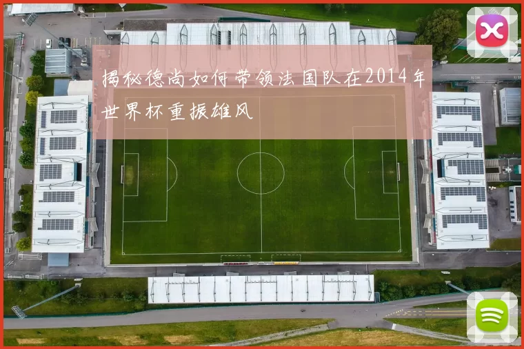 揭秘德尚如何带领法国队在2014年世界杯重振雄风