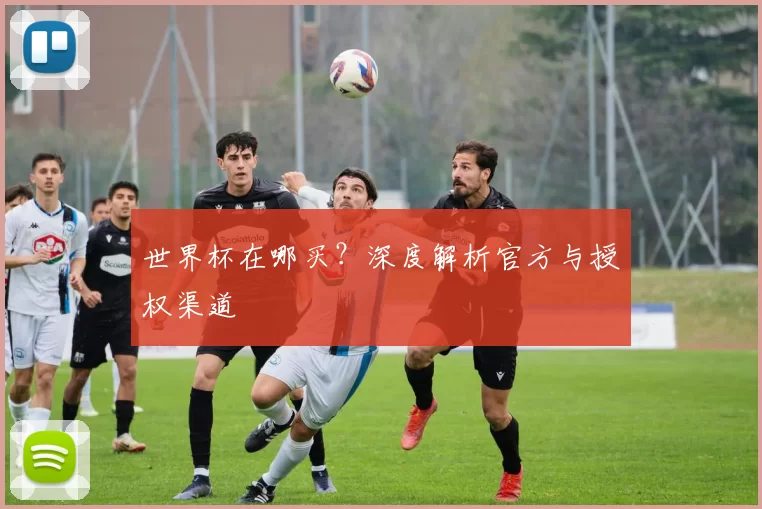 世界杯在哪买？深度解析官方与授权渠道