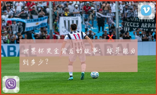 世界杯奖金背后的故事:球员能分到多少?