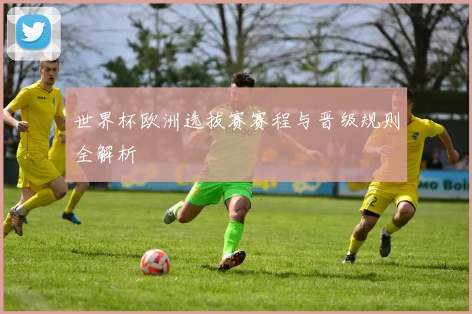 世界杯欧洲选拔赛赛程与晋级规则全解析