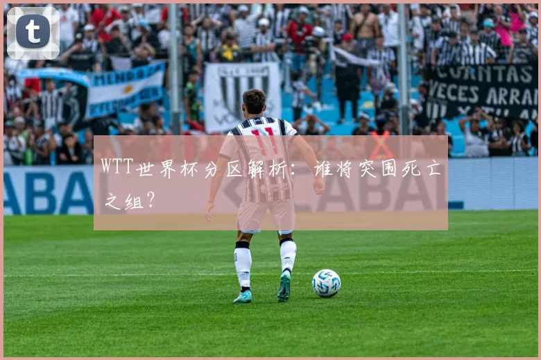 WTT世界杯分区解析:谁将突围死亡之组?