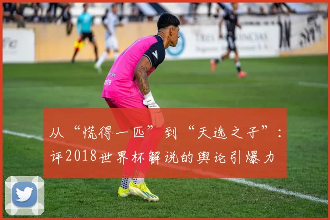 从“慌得一匹”到“天选之子”:评2018世界杯解说的舆论引爆力
