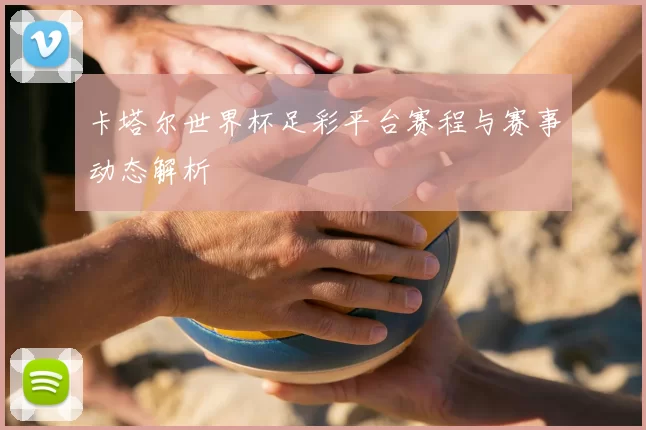 卡塔尔世界杯足彩平台赛程与赛事动态解析