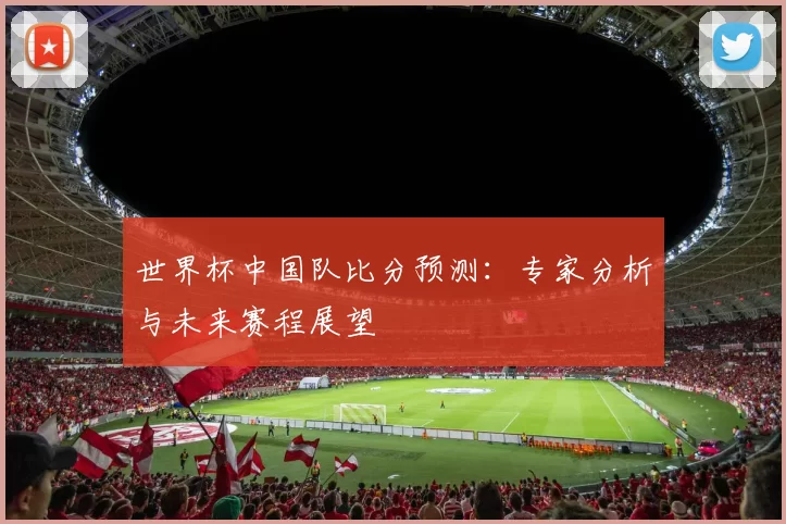 世界杯中国队比分预测:专家分析与未来赛程展望