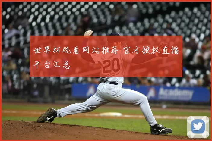 世界杯观看网站推荐 官方授权直播平台汇总