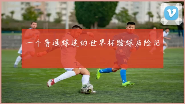 一个普通球迷的世界杯赌球历险记