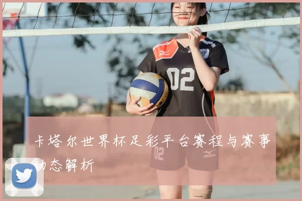 卡塔尔世界杯足彩平台赛程与赛事动态解析