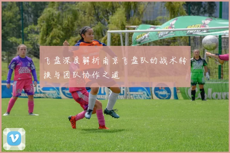 飞盘深度解析南京飞盘队的战术转换与团队协作之道