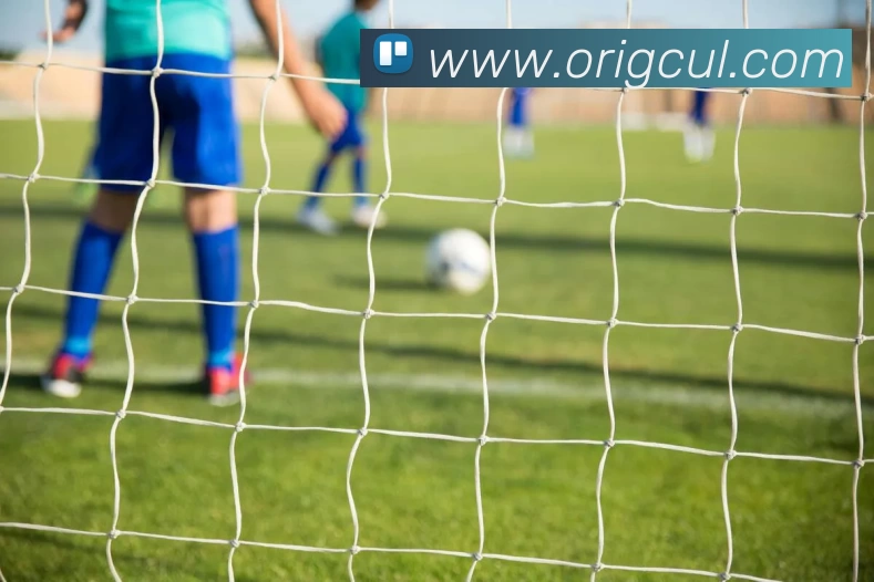 雅博app平台生态图